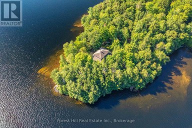 1089 LUTES LANE Algonquin Highlands (McClintock) Ontario photo 12