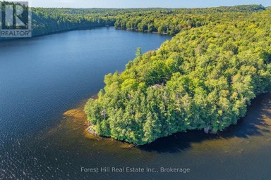 1089 LUTES LANE Algonquin Highlands (McClintock) Ontario photo 13