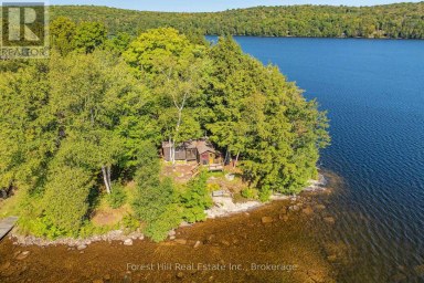 1089 LUTES LANE Algonquin Highlands (McClintock) Ontario photo 18