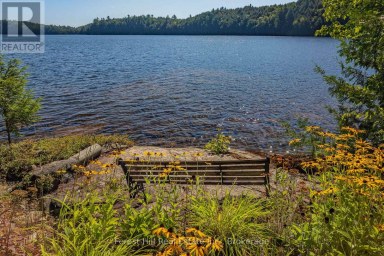 1089 LUTES LANE Algonquin Highlands (McClintock) Ontario photo 26
