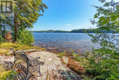 1089 LUTES LANE Algonquin Highlands (McClintock) Ontario photo 27