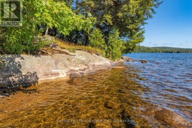1089 LUTES LANE Algonquin Highlands (McClintock) Ontario photo 28