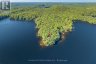 1089 LUTES LANE, Algonquin Highlands (mcclintock), Ontario, P0A1E0 (ID X13821104)