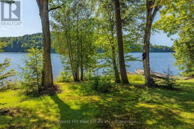 1089 LUTES LANE Algonquin Highlands (McClintock) Ontario photo 46