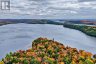 1089 LUTES LANE, Algonquin Highlands (mcclintock), Ontario, P0A1E0 (ID X13821104)