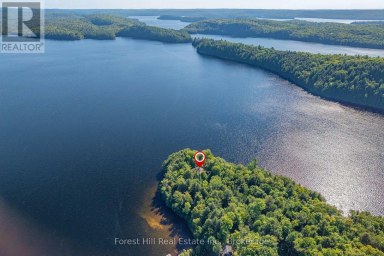 1089 LUTES LANE Algonquin Highlands (McClintock) Ontario photo 8