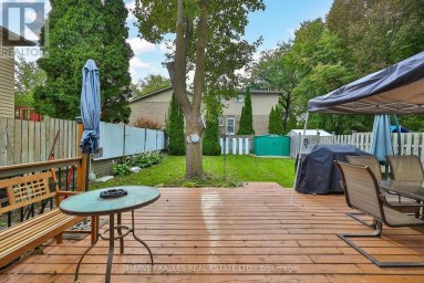 221 SNOWSHOE CRESCENT Markham (German Mills) Ontario photo 36