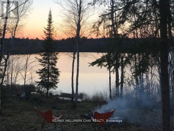 1133 FIRE ROUTE A1 STREET Gravenhurst (Ryde) Ontario photo 4