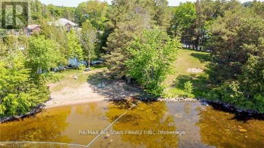 138 ALPINE LAKE ROAD Trent Lakes Ontario photo 34