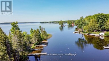 138 ALPINE LAKE ROAD Trent Lakes Ontario photo 35