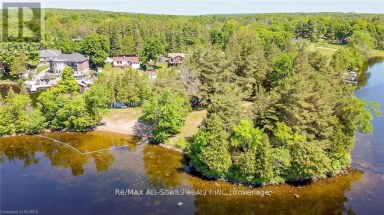 138 ALPINE LAKE ROAD Trent Lakes Ontario photo 37