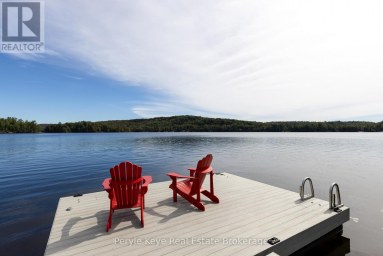 1054 INAWENDAWIN ROAD Lake of Bays (Ridout) Ontario photo 44