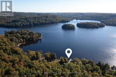 1054 INAWENDAWIN ROAD Lake of Bays (Ridout) Ontario photo 47