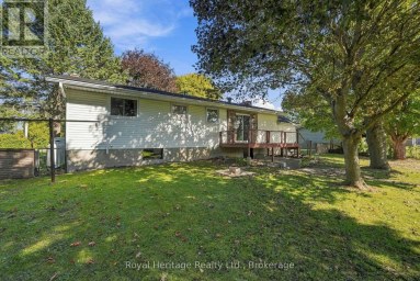 8074 TINKERVILLE ROAD Port Hope Ontario photo 38