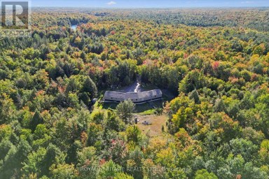 1515 UFFINGTON ROAD Bracebridge (Draper) Ontario photo 44