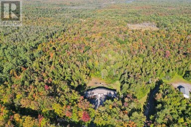 1515 UFFINGTON ROAD Bracebridge (Draper) Ontario photo 47