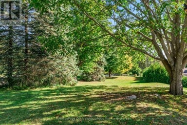 13 ORCHARD CRESCENT Brighton Ontario photo 47