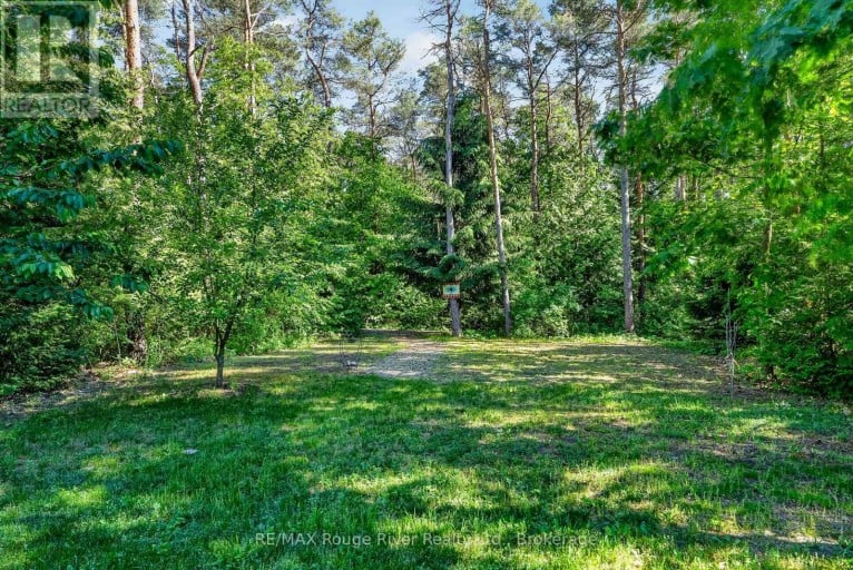 149 PINE TREE LANE, Cramahe (Colborne), Ontario, K0K1S0