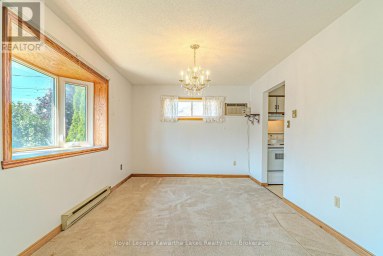 182 COLBORNE STREET W Kawartha Lakes (Lindsay) Ontario photo 10