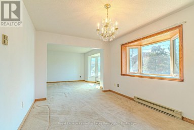 182 COLBORNE STREET W Kawartha Lakes (Lindsay) Ontario photo 11