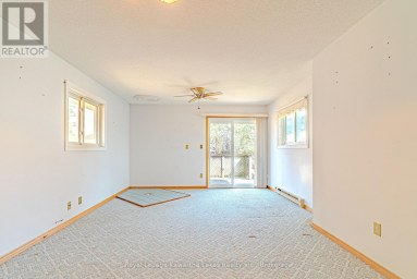 182 COLBORNE STREET W Kawartha Lakes (Lindsay) Ontario photo 17