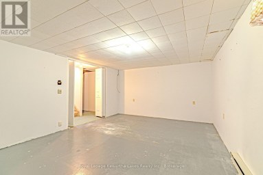 182 COLBORNE STREET W Kawartha Lakes (Lindsay) Ontario photo 22