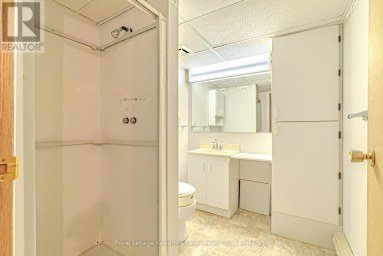 182 COLBORNE STREET W Kawartha Lakes (Lindsay) Ontario photo 28