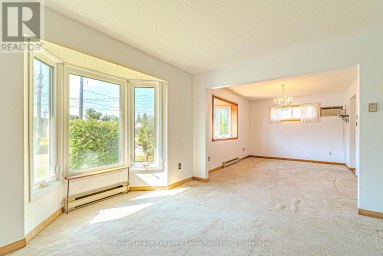 182 COLBORNE STREET W Kawartha Lakes (Lindsay) Ontario photo 9