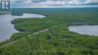 1628 BOSHKUNG LAKE ROAD Algonquin Highlands (Stanhope) Ontario photo 32