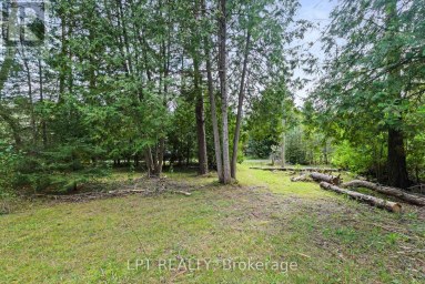 36 NURME AVENUE Georgina (Baldwin) Ontario photo 14