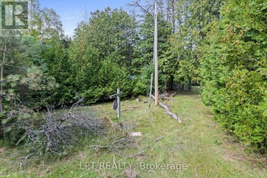36 NURME AVENUE Georgina (Baldwin) Ontario photo 15