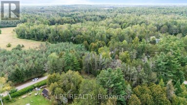 36 NURME AVENUE Georgina (Baldwin) Ontario photo 24