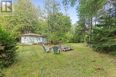 36 NURME AVENUE Georgina (Baldwin) Ontario photo 5