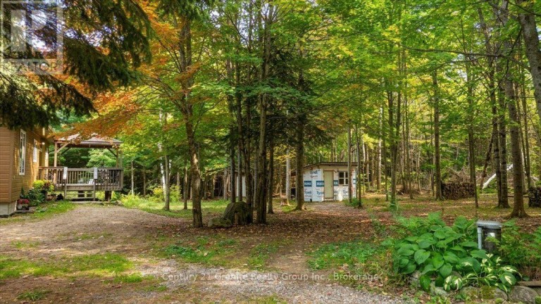 649 MADAWASKA ROAD, Hastings Highlands (Wicklow Ward), Ontario, K0L2S0