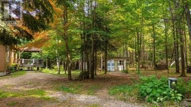 649 MADAWASKA ROAD Hastings Highlands (Wicklow Ward) Ontario photo 40