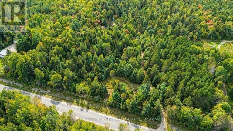 649 MADAWASKA ROAD, Hastings Highlands (Wicklow Ward), Ontario, K0L2S0
