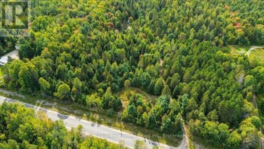 649 MADAWASKA ROAD Hastings Highlands (Wicklow Ward) Ontario photo 47