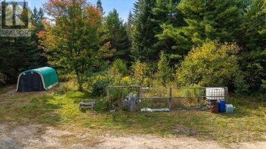649 MADAWASKA ROAD Hastings Highlands (Wicklow Ward) Ontario photo 50