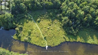 395 SAWMILL ROAD Douro-Dummer Ontario photo 34