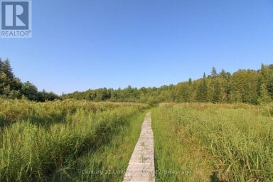 395 SAWMILL ROAD Douro-Dummer Ontario photo 35