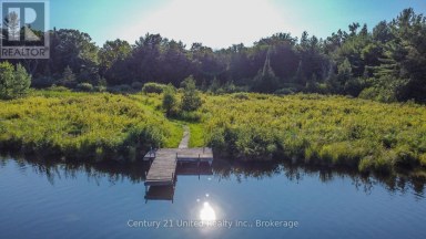 395 SAWMILL ROAD Douro-Dummer Ontario photo 36