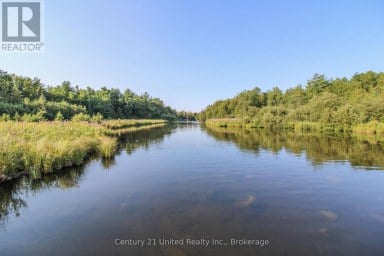 395 SAWMILL ROAD Douro-Dummer Ontario photo 39