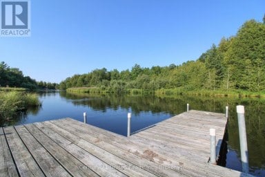 395 SAWMILL ROAD Douro-Dummer Ontario photo 4