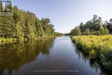395 SAWMILL ROAD Douro-Dummer Ontario photo 5