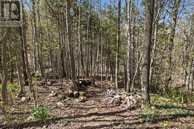 66 GORDON CRESCENT, Meaford, Ontario, N4L1C7