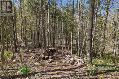 66 GORDON CRESCENT Meaford Ontario photo 30