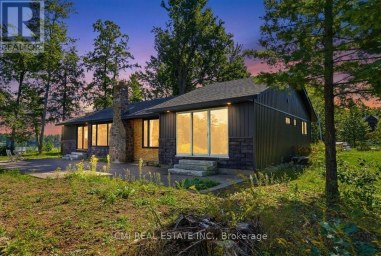 2324 SALMON BAY ROAD Douro-Dummer Ontario photo 41