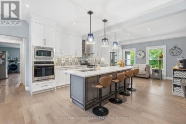 819 COUNTY 49 ROAD Kawartha Lakes (Verulam) Ontario photo 10