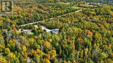819 COUNTY 49 ROAD Kawartha Lakes (Verulam) Ontario photo 47