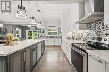 819 COUNTY 49 ROAD Kawartha Lakes (Verulam) Ontario photo 9